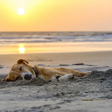 Seeblick Mit Kamin * 부스트로우